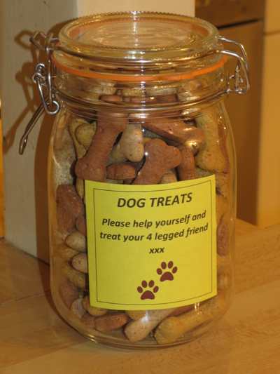 dog-treats