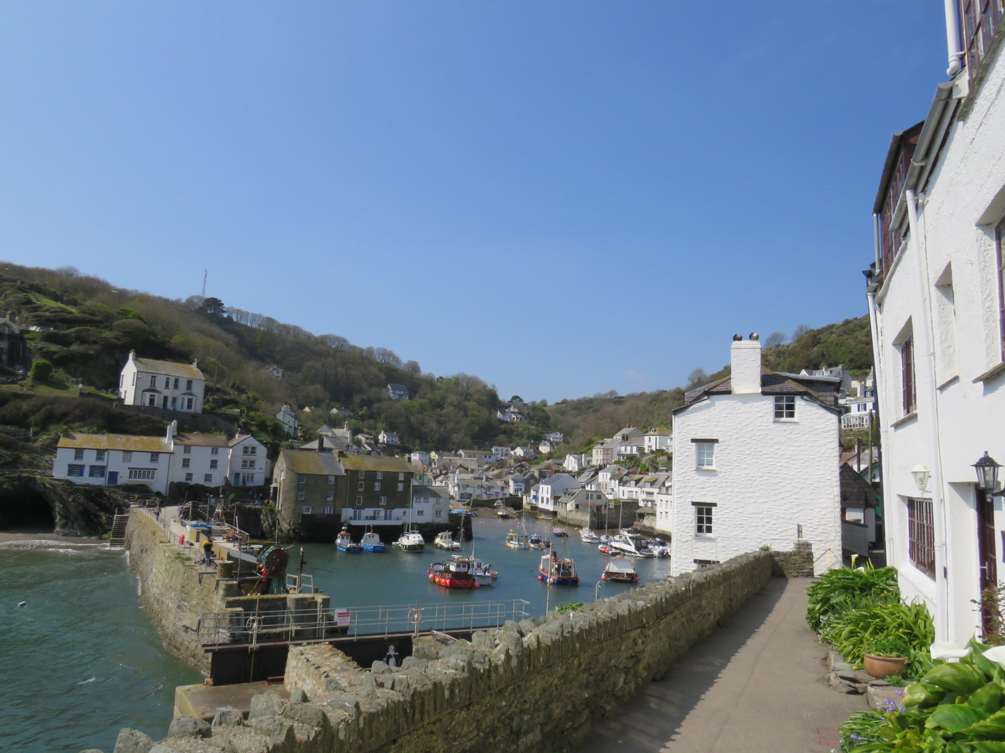 2299421272043631784_IMG_3206