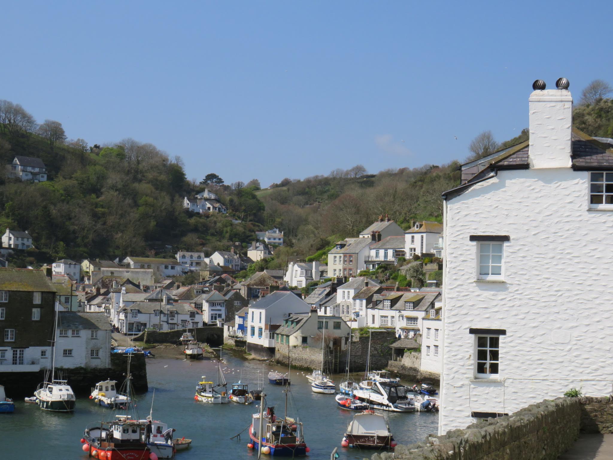 3314779110011834590_IMG_3207